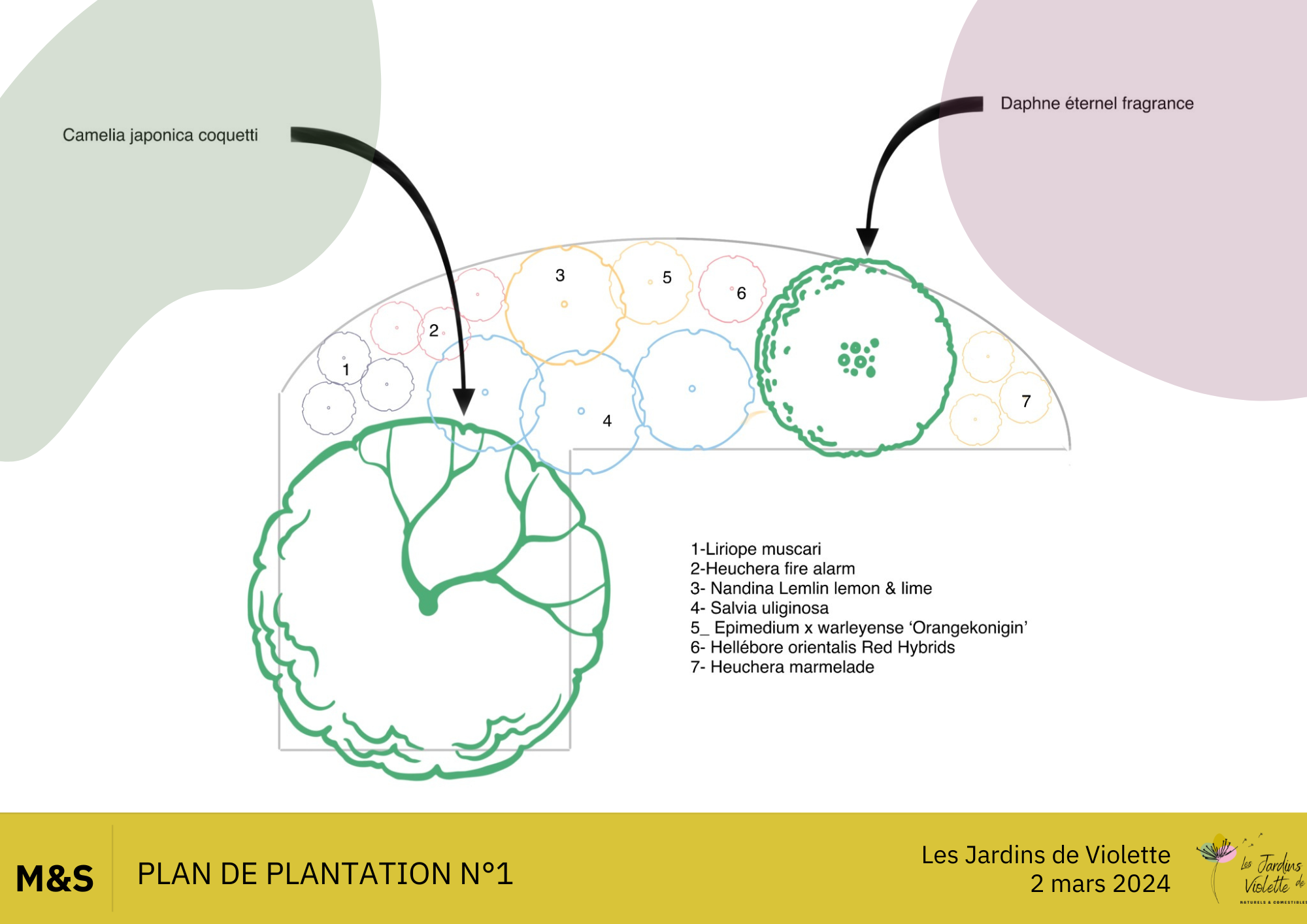 plan plantation ms 1